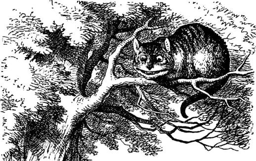 “I didn’t know that Cheshire cats always grinned; in fact, I didn’t know that cats could grin.” “They all can,” said the Duchess; “and most of ‘em do.” “I don’t know of any that do,” Alice said very politely, feeling quite pleased to have got into a conversation. “You don’t know much,” said the Duchess; “and that’s a fact.”